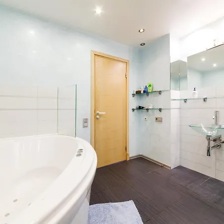 公寓 Brivibas Lux 里加